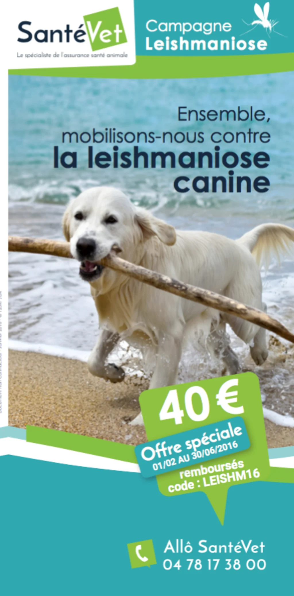 leishmaniose chien santevet vaccin virbac