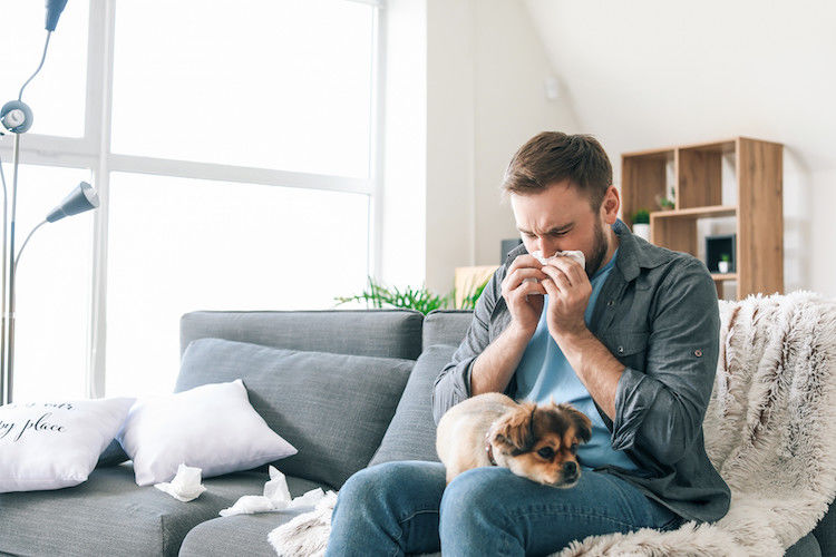 L&rsquo;allergie au chien et les allergies chez le chien