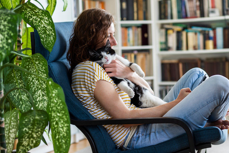 Faire garder son chat : quelles solutions ?