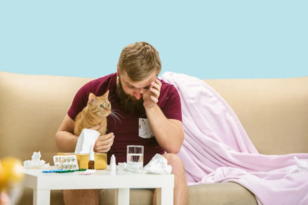reactions allergie aux chats