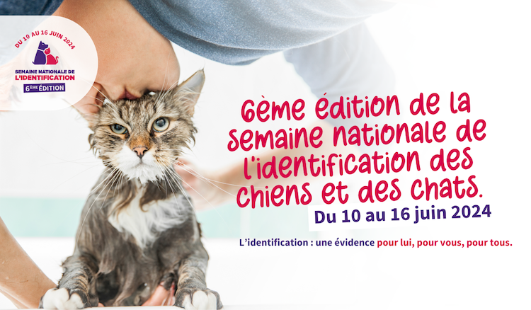 6ème Semaine Nationale de l’identification des chiens et chats