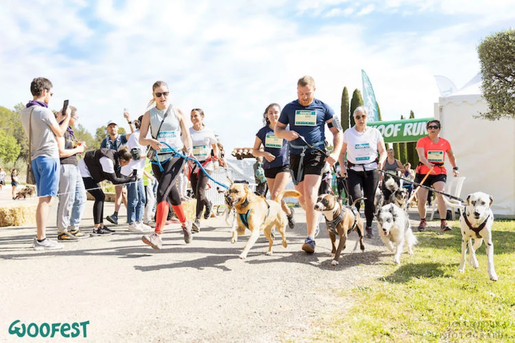 Woofest festival canin Paris