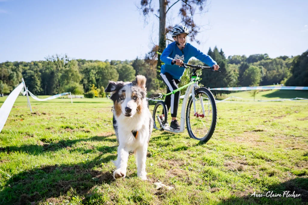 Woofest festival canin cani VTT