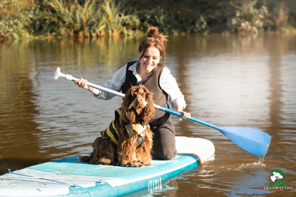 cani paddle woofest