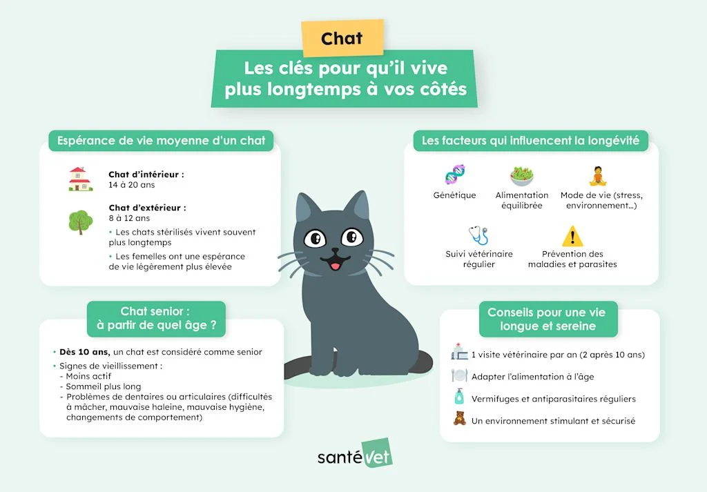 chat esp&eacute;rance de vie