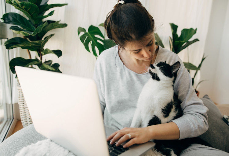 Peut-on prendre une assurance chat sans limite d’âge ?