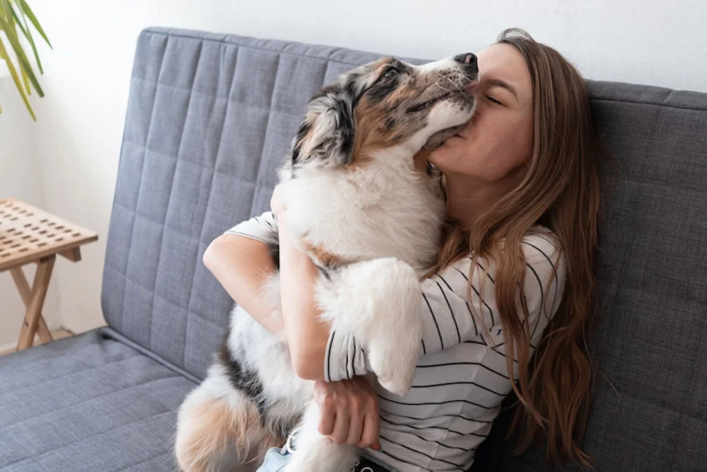femme et berger australien