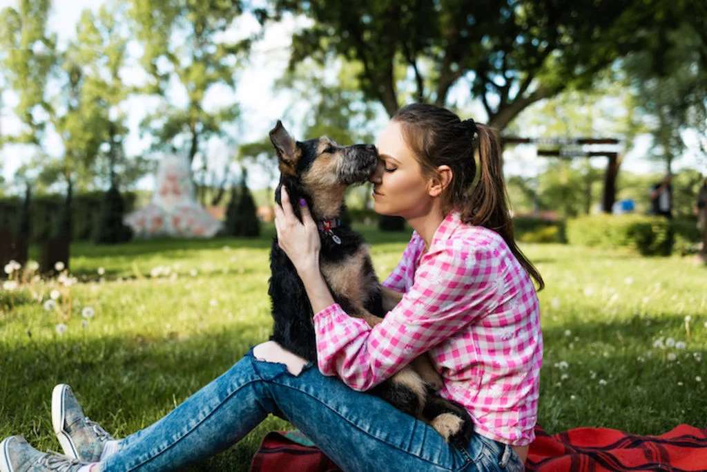 dog sitter