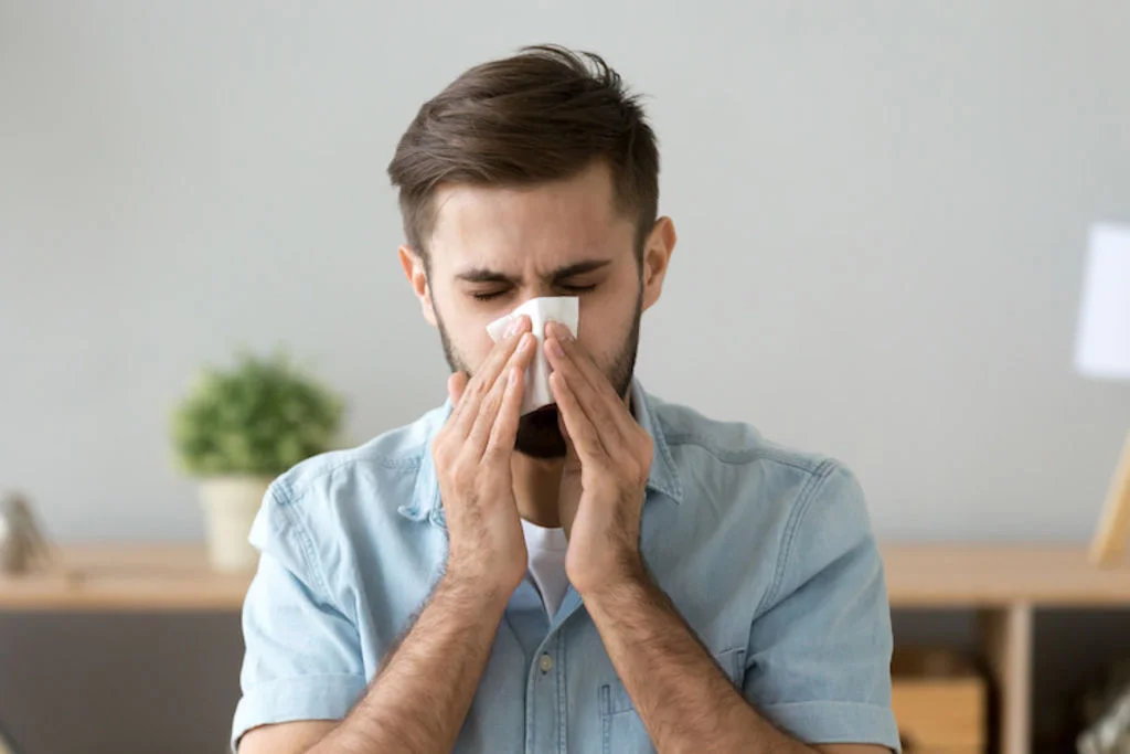 nez qui coule allergie chat