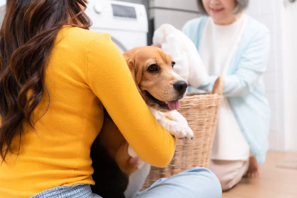 pet sitter