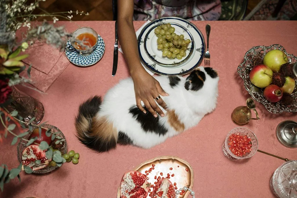 chat pr&egrave;s d'une grappe de raisin