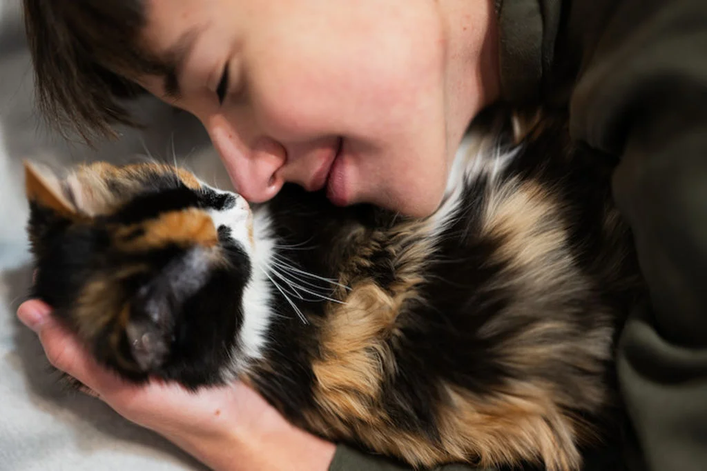 soigner allergie au chat