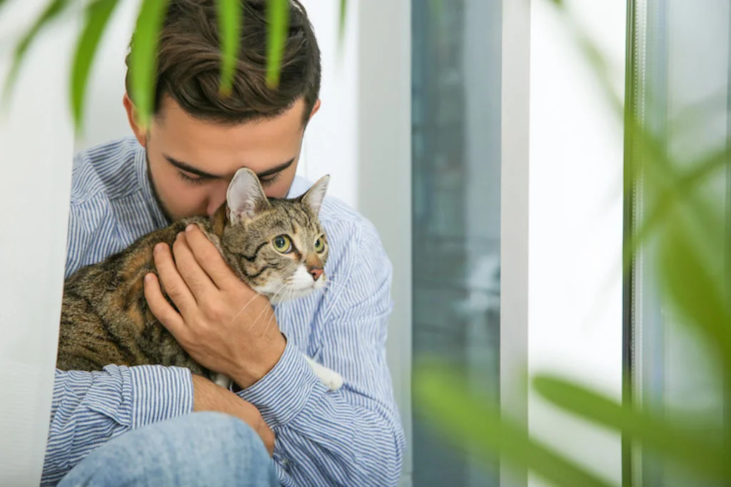vivre avec un chat et allergie