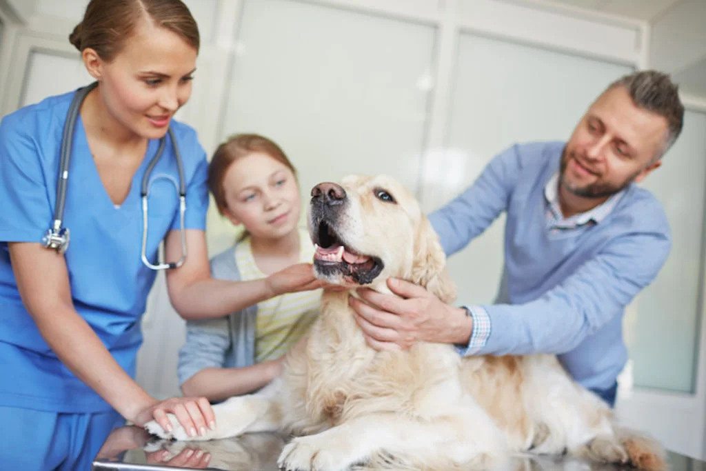 vaccin leishmaniose chien