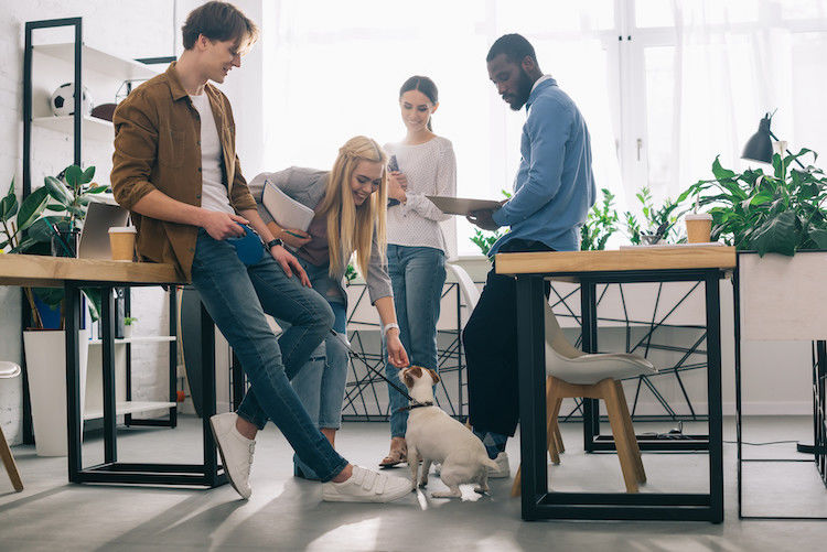 Pets at Work : les bienfaits des animaux au travail