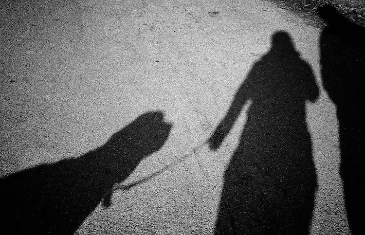 Les vols de chiens augmentent fortement en France