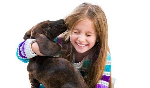 Poux chez le chien et l’enfant : à chacun son traitement