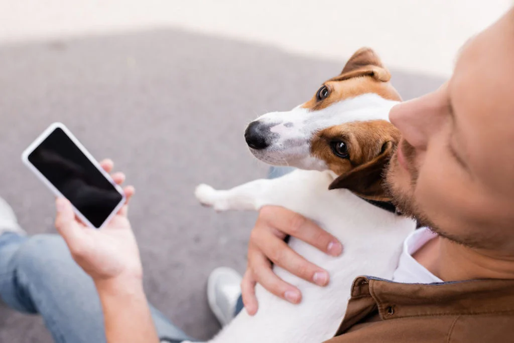 application mobile santévet