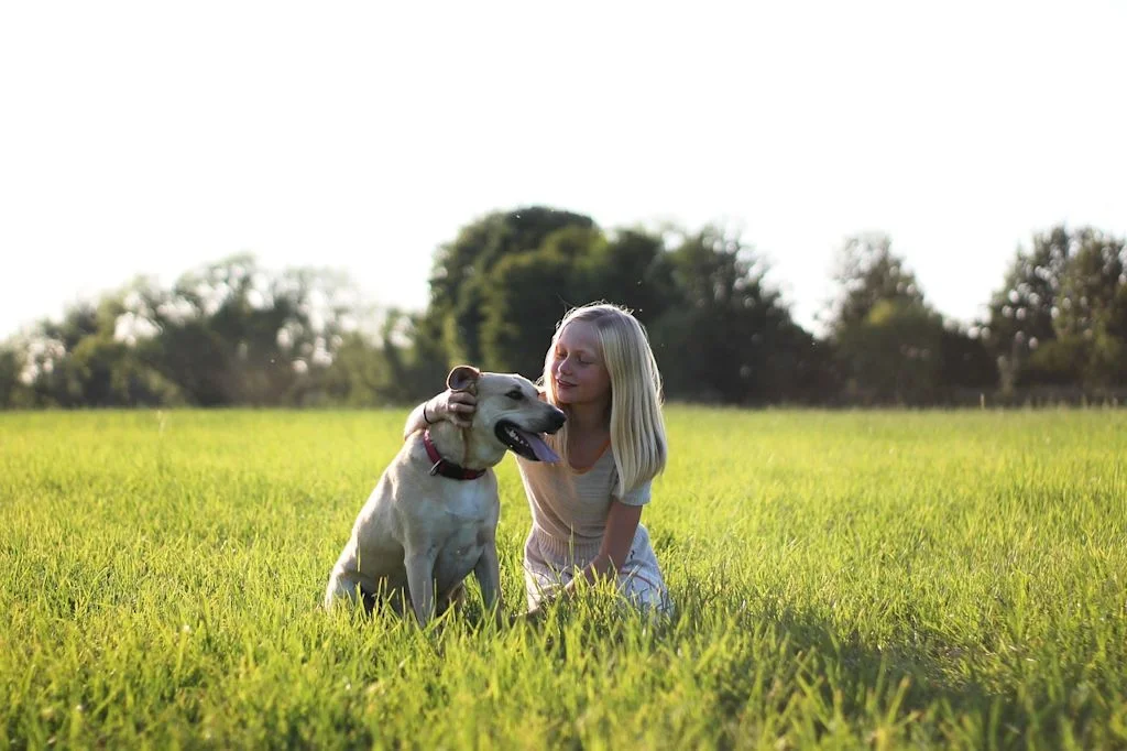 chien-