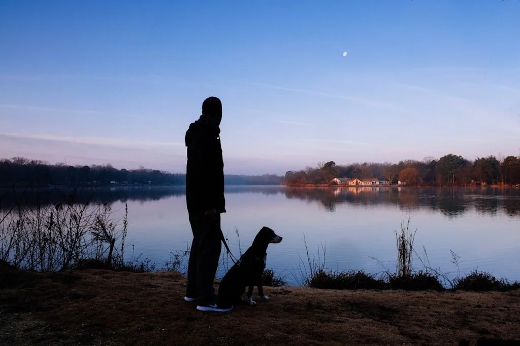 Chien se promenant la nuit