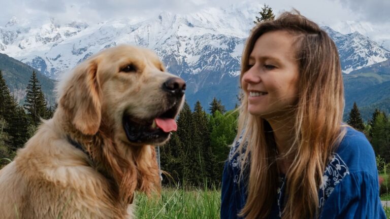 Malibu : le golden retriever « amateur de thalasso »… en salle de bain !