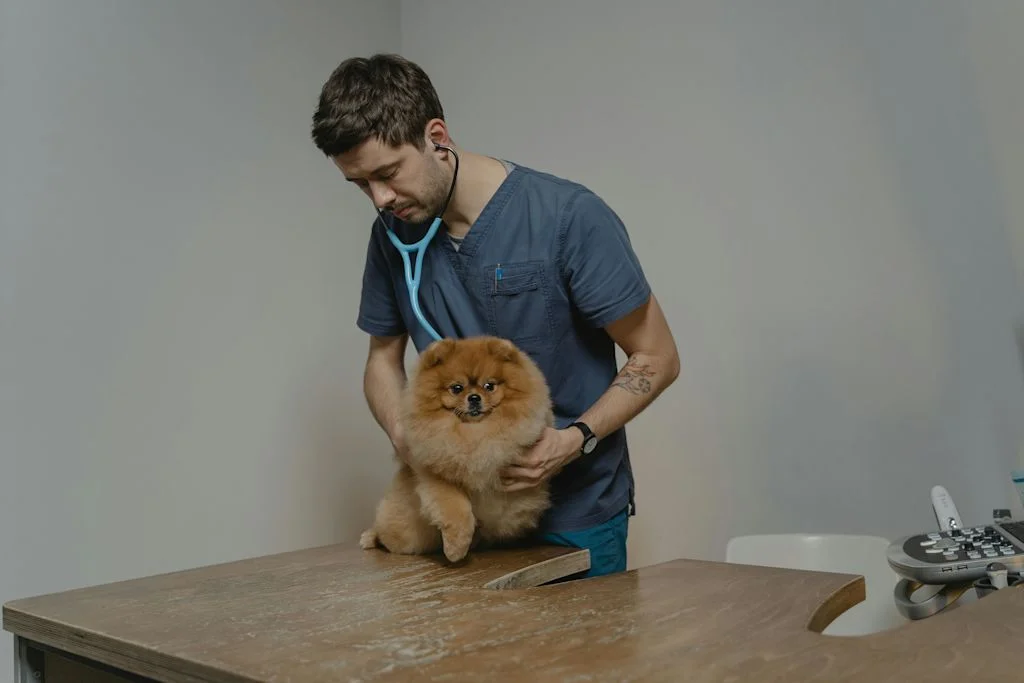 chien chez le vétérinaire