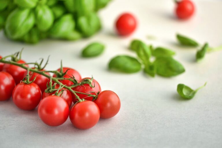 Est-ce que mon chien peut manger des tomates ?