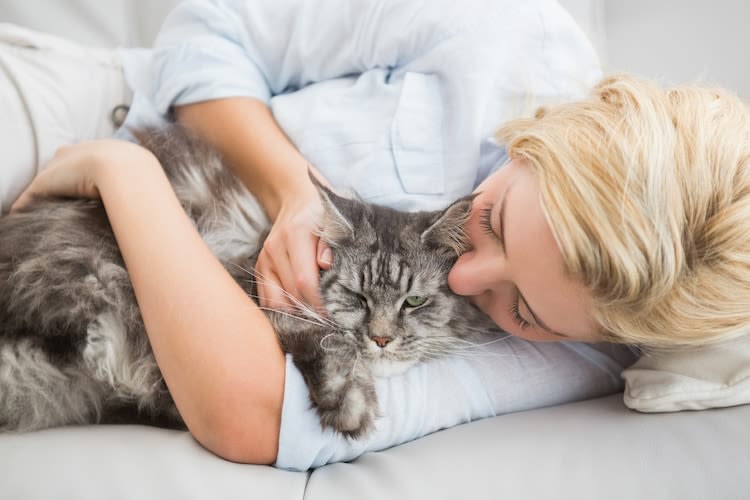Pourquoi mon chat dort-il sur moi ?