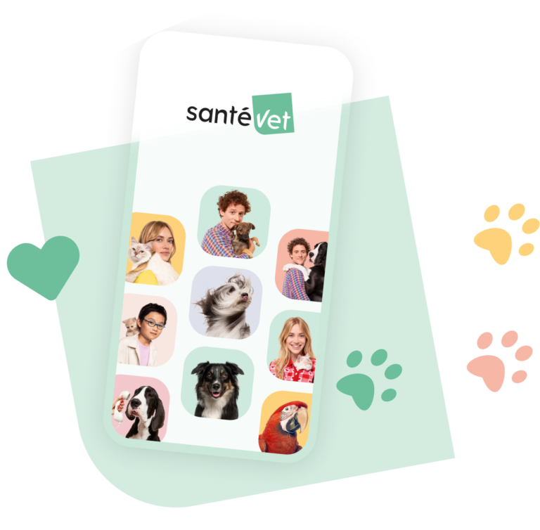 Découvrez le nouvel espace client Santévet !