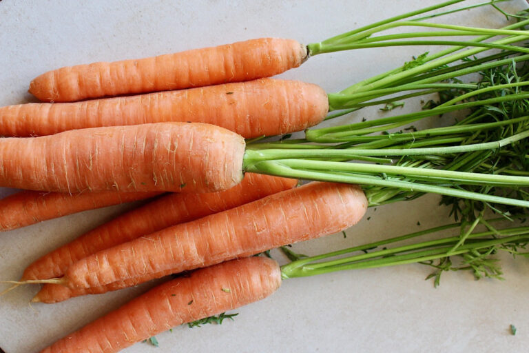 Les carottes sont-elles bonnes pour les chiens ?