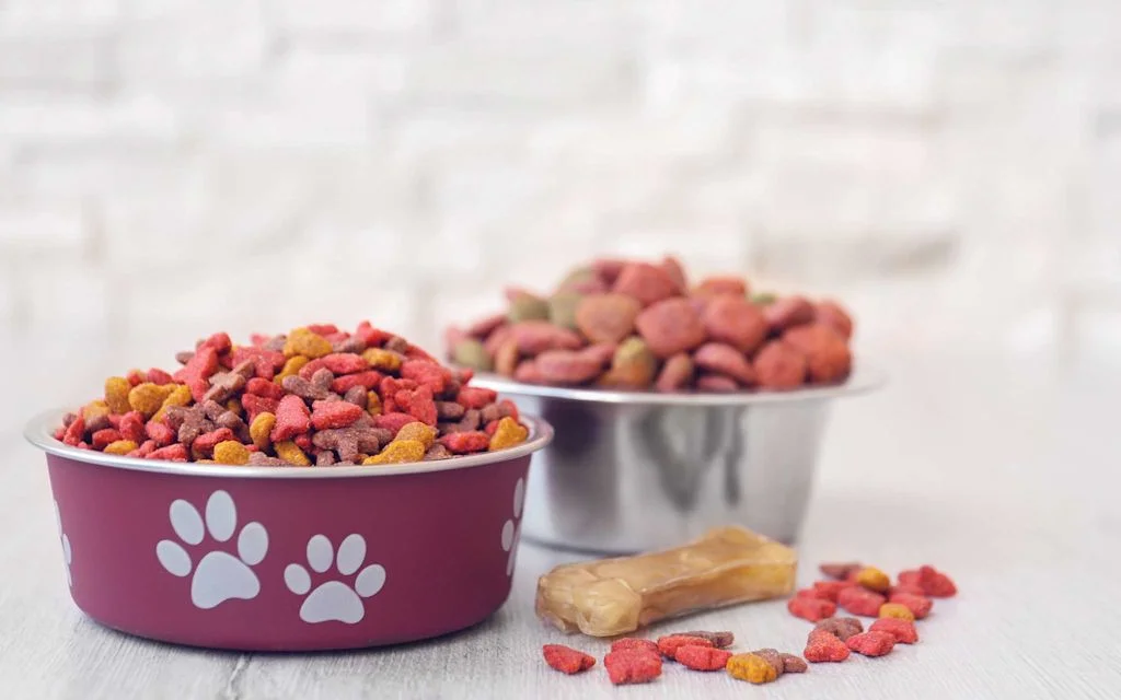 Comment-choisir-les-croquettes-de-mon-chien.jpg