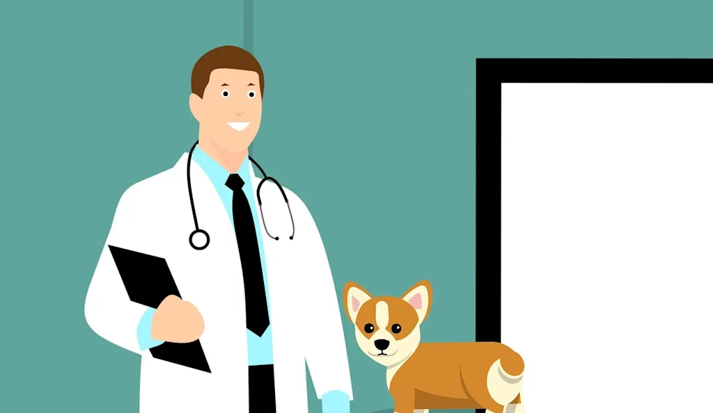infographie veterinaire