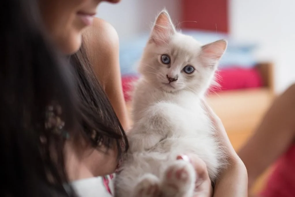 Chat et sa maitresse 