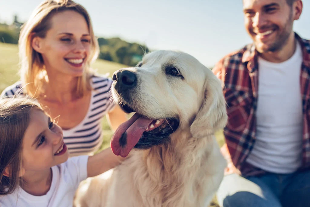 chien heureux en famille