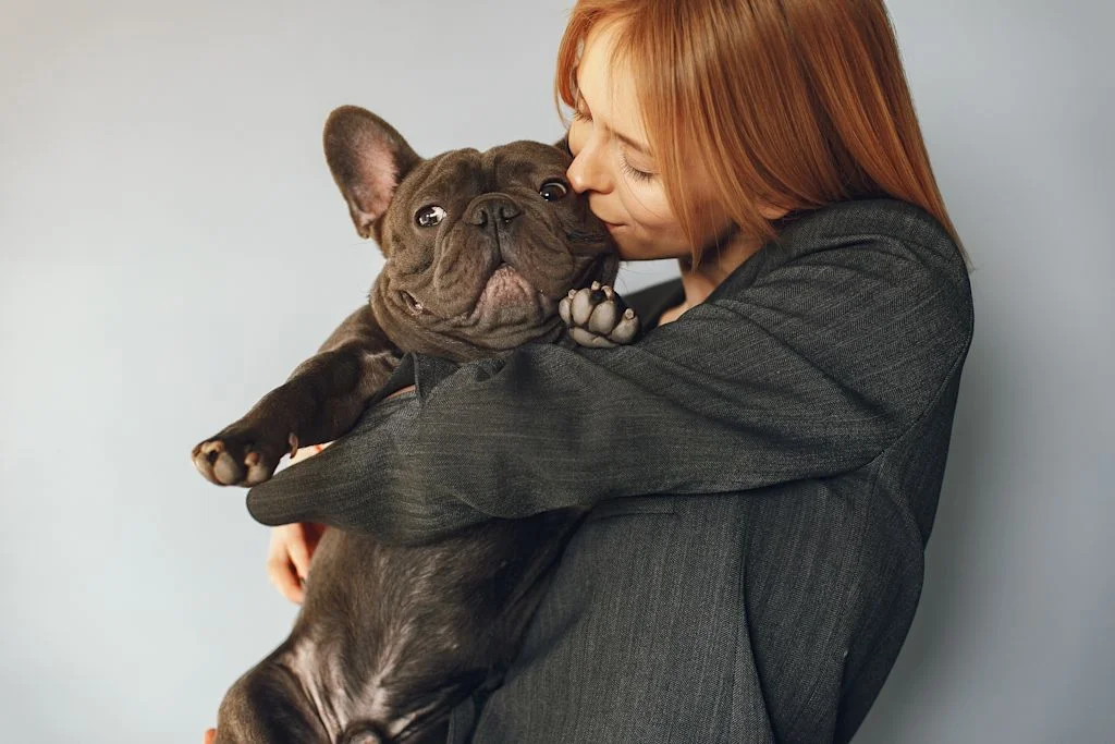 bouledogue calin