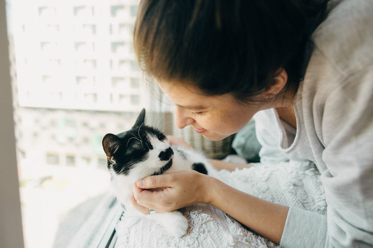 Katzen für Allergiker – ist das möglich?