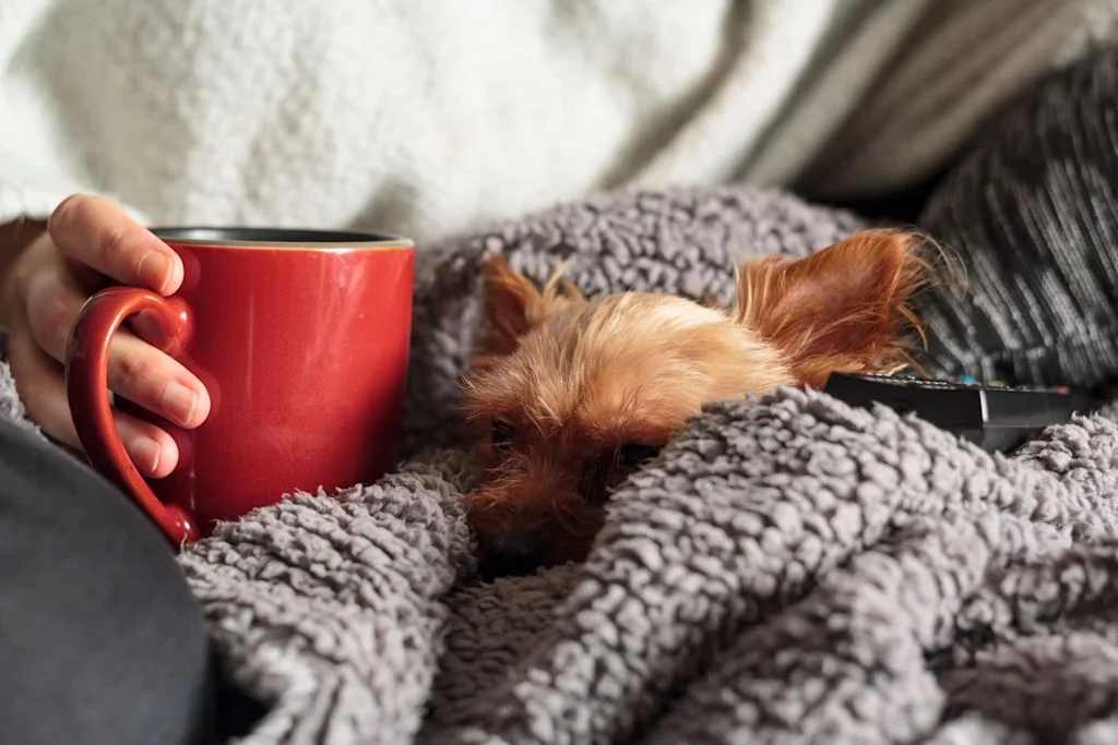 chien et maitresse au calme