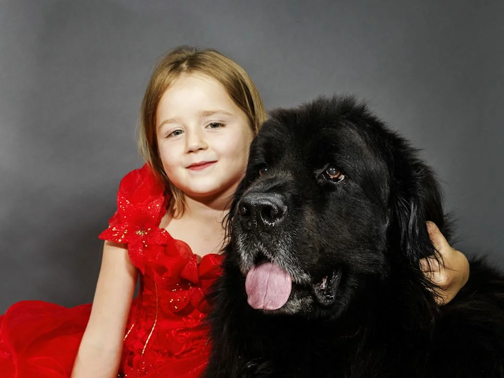 terre neuve et petite fille