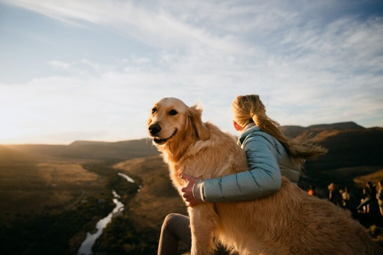 Halte aux chiens surexcités : pourquoi le calme est le nouveau cool ? La Slow Life expliquée à ceux qui croient que tourner en rond est un sport olympique !
