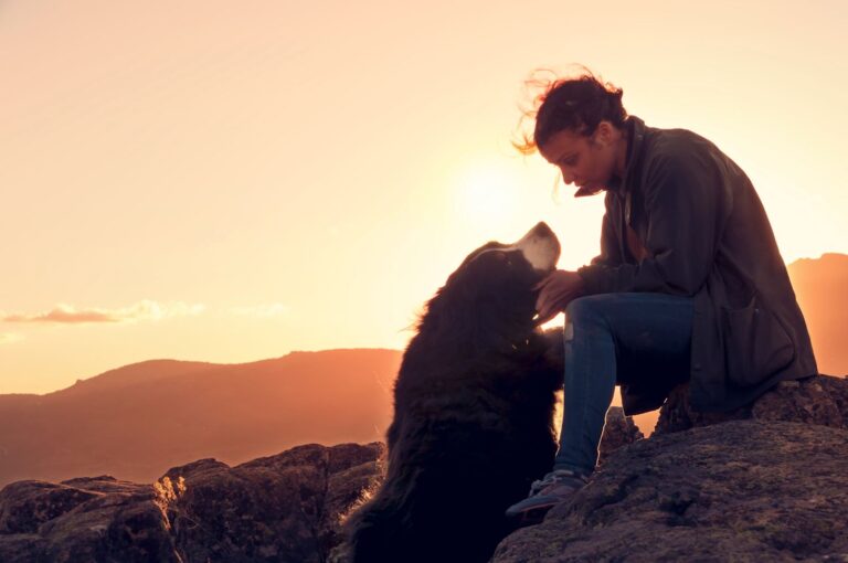 Faire face au décès de son chien : comment traverser cette épreuve ?