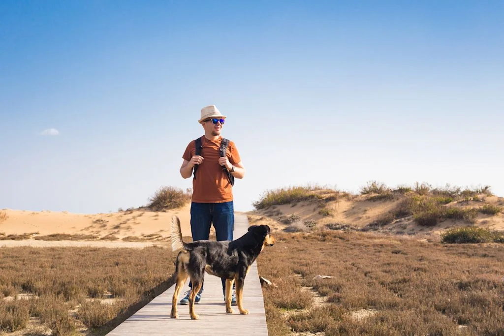 promenade avec un chien