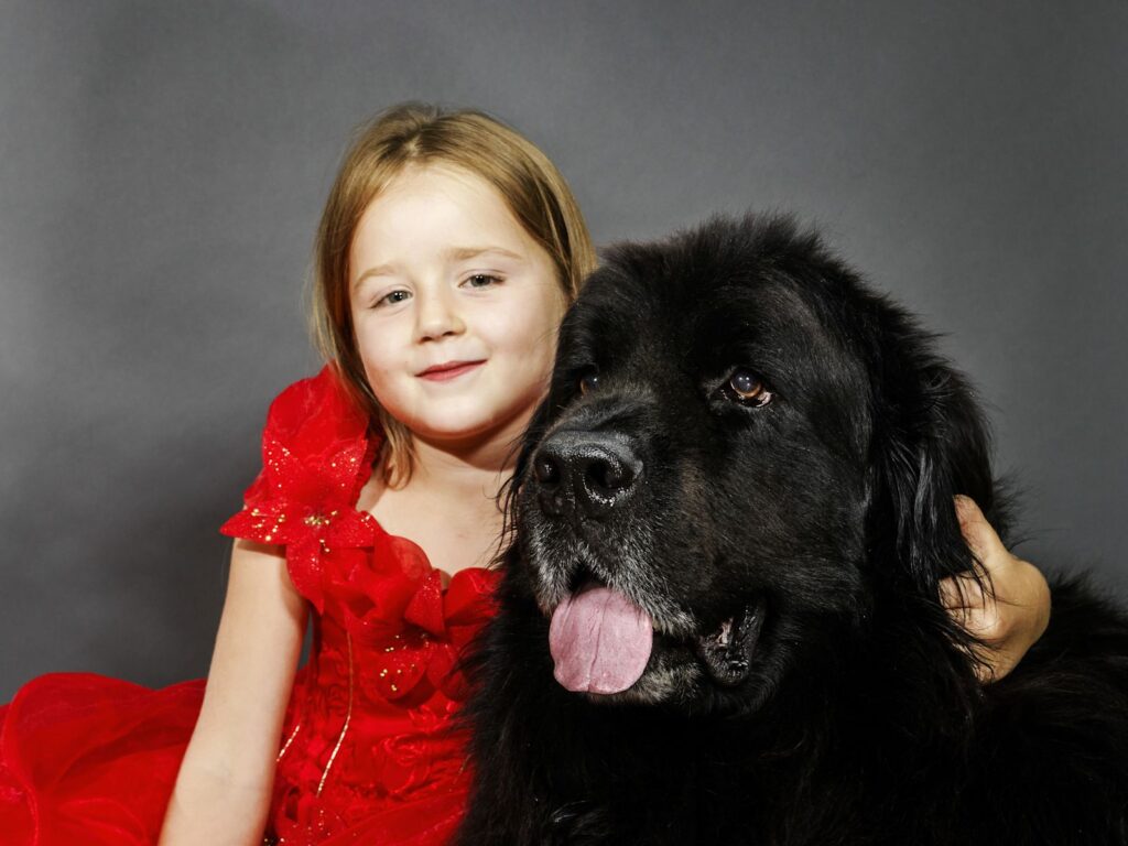 Races de gros chien gentilmusia