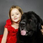 terre neuve et petite fille
