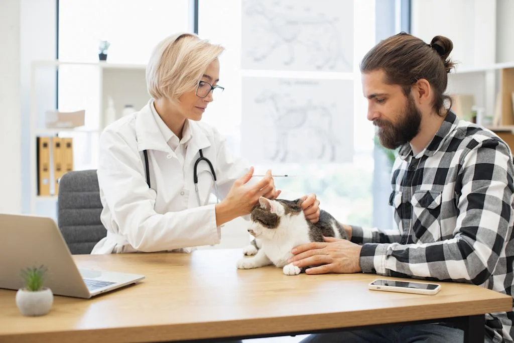 V&eacute;t&eacute;rinaire chat