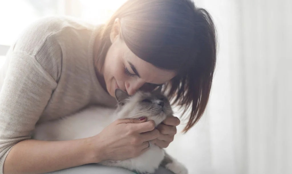 chat heureux