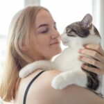 Chat calin