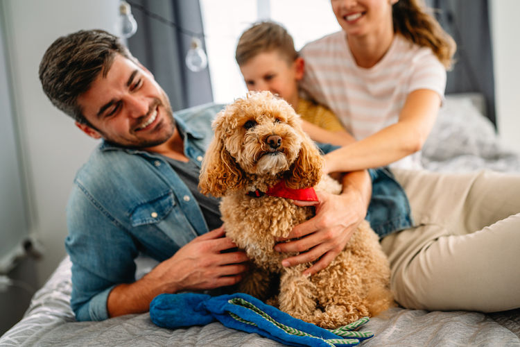 Population canine en France : les chiffres de l’I-CAD confirment une évolution des tendances