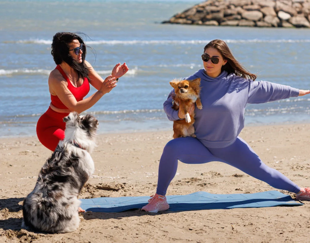 doga chien plage
