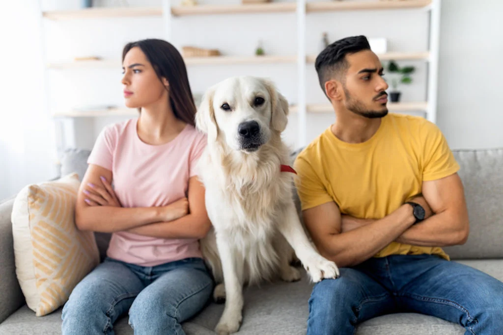 chien divorce maitres