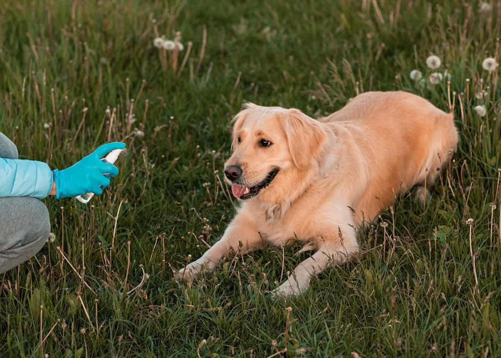 D&eacute;sinfectant chien
